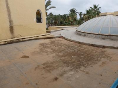 Nemilé překvapení