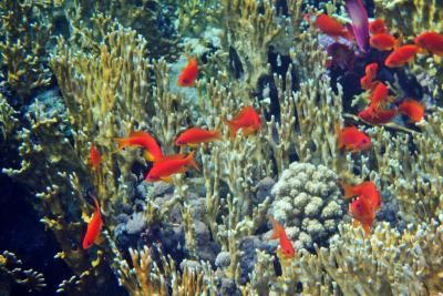 Dovolená jak má být