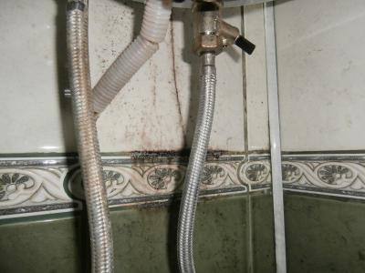 Zklamání, špína, plíseň a zatuchlina