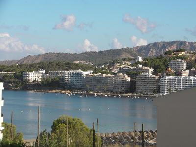 Delfin Mar, Santa Ponca-Mallorca