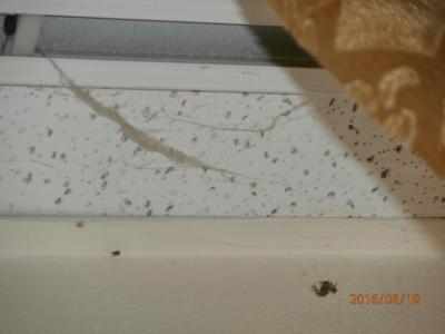 Nejstrašnější slevový pobyt v hotelu Zlatý kříž v Třebíči