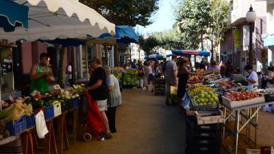 Pobyt v hostalu Miranda