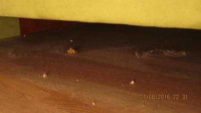 City Hotel to je Špína Hotel