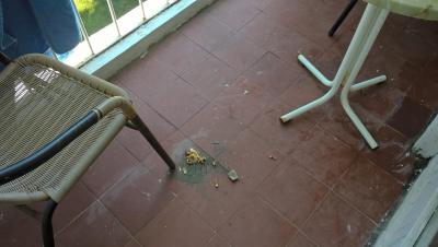 Za málo peněz-málo muziky