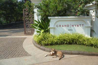 Prehliadka hotela Grand Hyatt