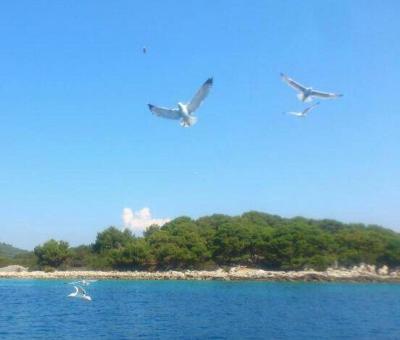 Naprostá spokojenost