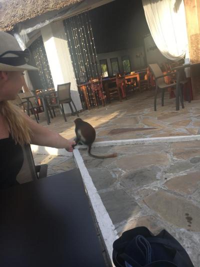 Hotel Karafuu Resort