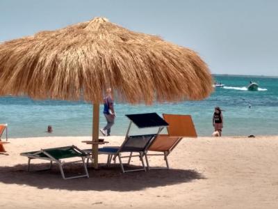 Krásná dovča,doporučuji