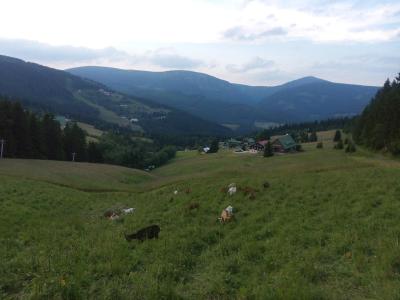 Pobyt v penzionu Konkolski