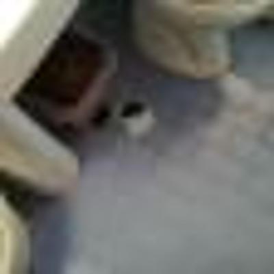 Kaissa Beach anebo DESMARIA