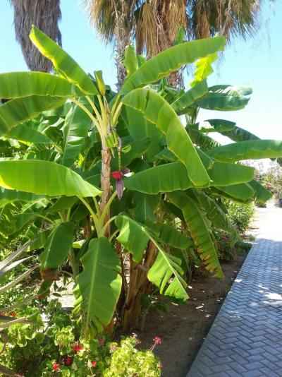 Nádherná dovolená