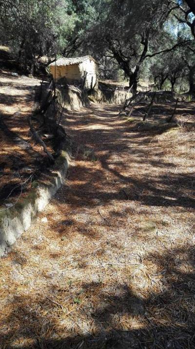 Maximální spokojenost