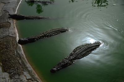 Báječná dovolená