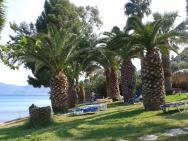 palmová zahrada, příjemný stín a tráva - ideální místo pro lehátka
