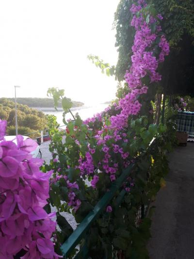 Dovolená v Chorvatsku- Primošten