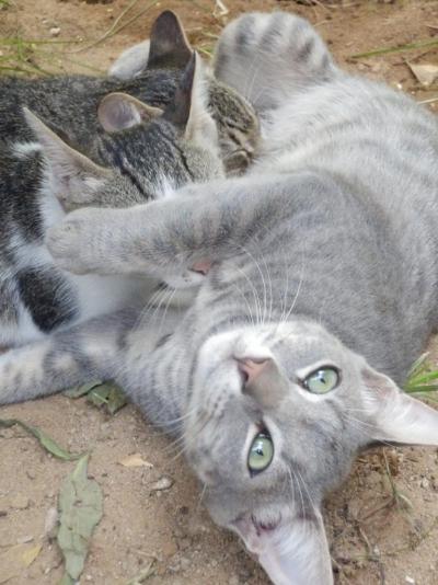 Samira Club pro rodiny s dětmi