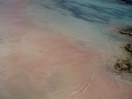 růžová pláž