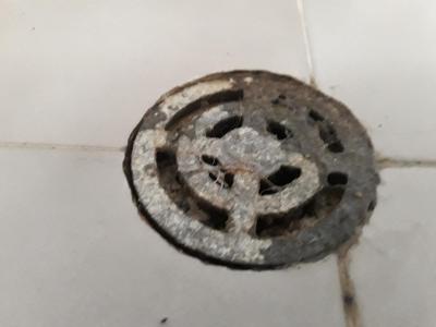 Nejhorší Dovolená