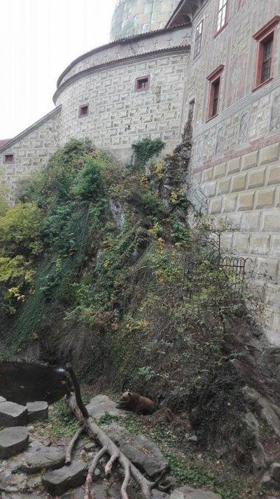 Penzion Prelát  - Český Krumlov