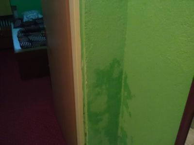 Plíseň ,netekla voda a nevrátili peníze 