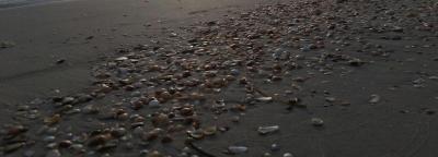 Eden Village El Borj