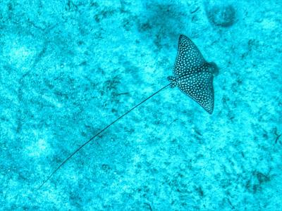 Super prodloužení léta za pár korun