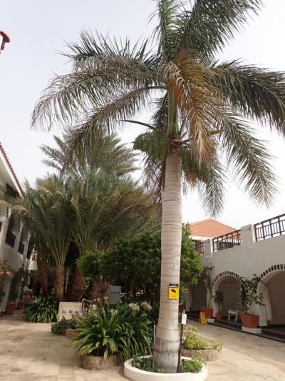 Prohlídka hotelu Odjo d'Agua ****