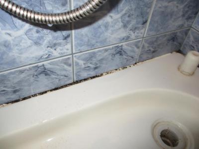 Nic horšího jsem nezažila