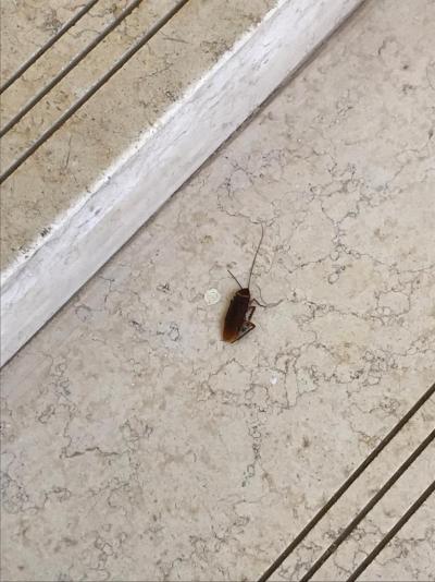 Dovolená Březen 2018