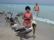 Je libo pelikanek :)