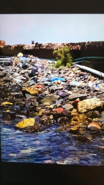 Ne úplně katastrofa, ale už nikdy