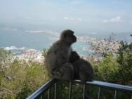 Výlet na Gibraltar