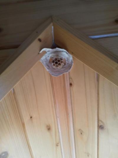 velká nespokojenost 