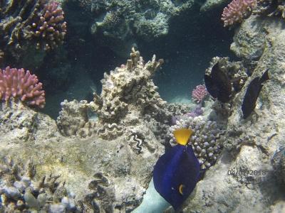 Není to taková katastrofa, jak se zde uvádí