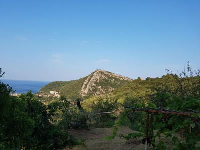 Recenze: hotel Vila Premier *** (Černá Hora, Buljarica)