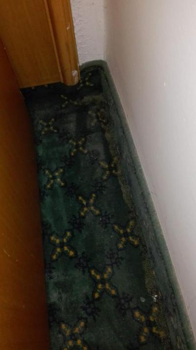  HRůza, už nikdy v životě