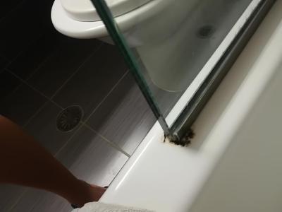 Neurazilo,ale ani nenadchlo.