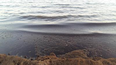 Šok  ze špinavého moře a pláže 