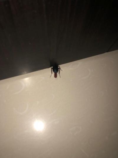 NEJEZDIT! HUMUS JE TO O ZDRAVÍ!!