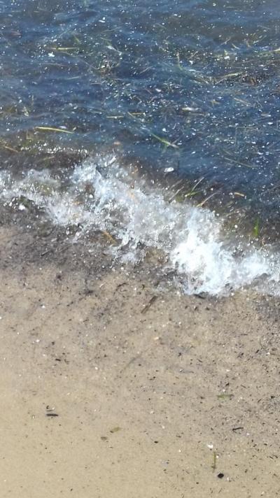 Zlý hotel, hrozná hygiena, 