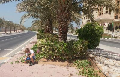 hotel Marjan Island Resort a spa