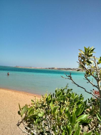 Sea Star ucházející.