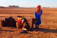 Fakultativní výlet - Merzouga - připravený velbloud