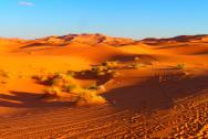 Fakultativní výlet - Merzouga - písečné duny
