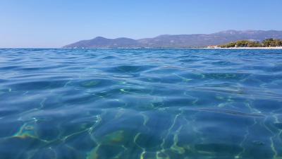 Odpočinková dovolená