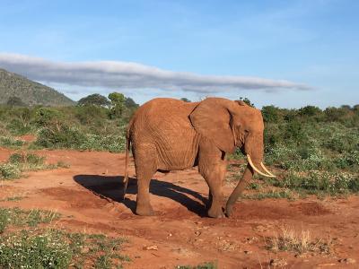 Báječná dovolená, nádherný oceán, příjemní lidé