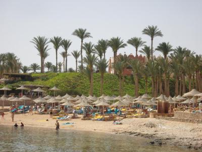 Dobrá volba! Klidně příště znovu.