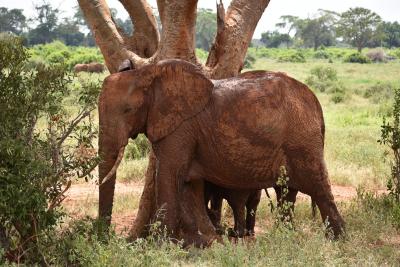 Skvělá exotická dovolená
