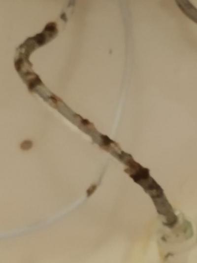 To snad ani do nabídky nepatří