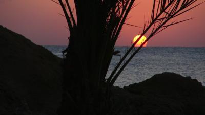 Nádherná zahrada korálová i v hotelu, perfektní personál